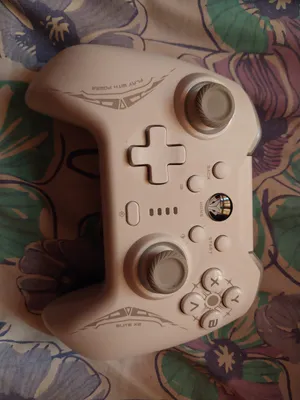 Evofox controller