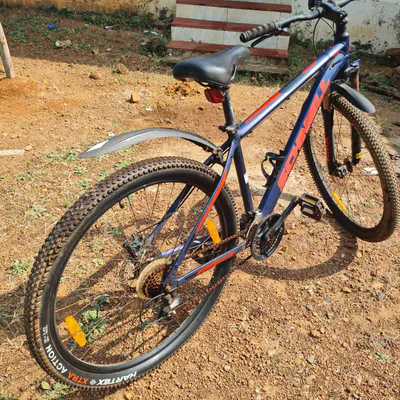 Schnell Holts 29 Inch Bicycle